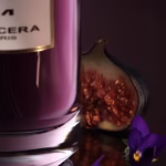 Fig Me Up Mancera
