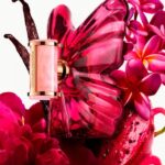 La Bomba Carolina Herrera