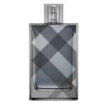 Burberry Brit for Men