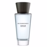 Burberry Touch for Men 