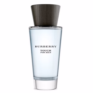 Burberry Touch for Men 