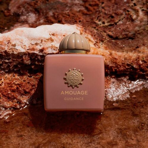 Amouage Guidance