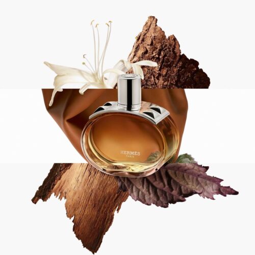 Hermès Barénia Intense