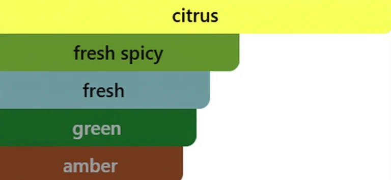 Barres d'accords parfumés : citrus, frais épicé, frais, vert et ambre.