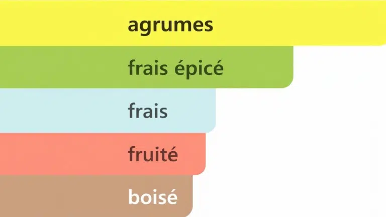 Infographie montrant les notes agrumes, frais épicé, fruité et boisé