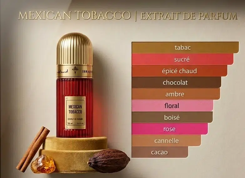Infographie des notes de Mexican Tobacco avec tabac, cacao, ambre et cannelle.